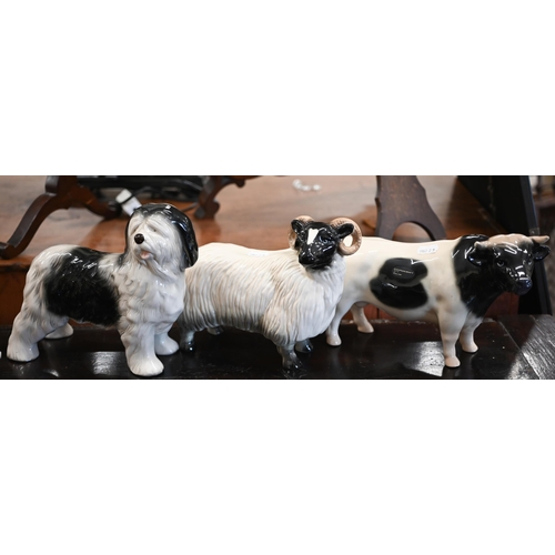 461 - A Beswick Aberdeen Angus bull 20 cm long, to/w a Coopercraft bull and ram, two other bulls and a ram... 