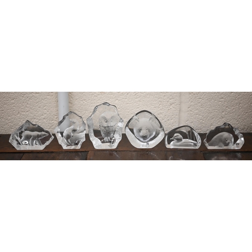 467 - Eleven Mats Jonassen (Malera, Sweden) glass collectors' ornaments to/w a collection of Swarovski gla... 