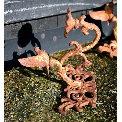 67 - A pair of weathered cast iron single arm wall sconces surmounted by a bird (2)