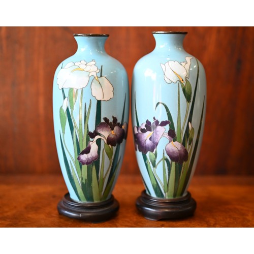 453 - A pair of early 20th century Japanese cloisonne polychrome vases with purple and white irises on tur... 