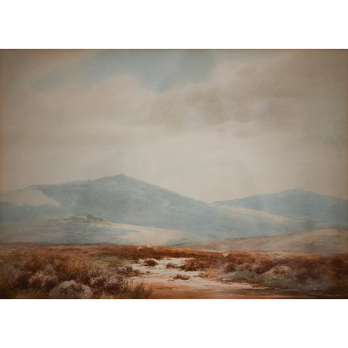 350 - W H Dyer - 'Dartmoor, Melhon Valley near Okehampton', watercolour, signed lower left, 26 x 36 cm to/... 