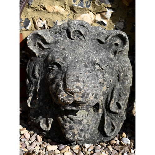 118 - A large old lions head wall plaque, heavily weathered, 42 cm h