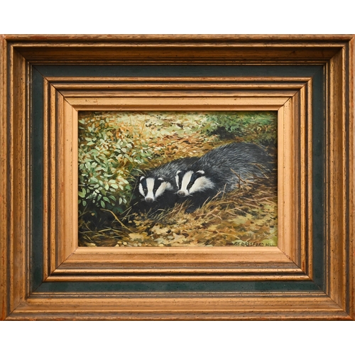 351 - Berrisford Hill - Badgers in a sett, oil on board, signed lower right, 12 x 16 cm