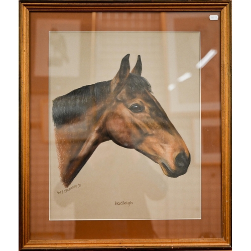 362 - Mary Browning - 'Hadleigh', pastel study of a horses' head, signed and dated '91, 52 x 42 cm