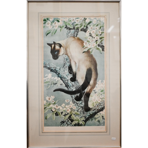 389 - After Charles Tunnicliffe - Siamese cat in apple blossom tree, 67 x 36 cm with impressed back stamp,... 