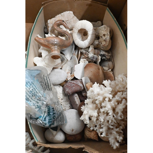 502 - A collection of exotic sea shells, coral, pebbles etc (box)