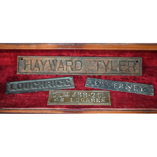 553 - Seven various antique and later metal trade nameplates incl. Mr S Tremlett, Veterinary Surgeon, MRCV... 