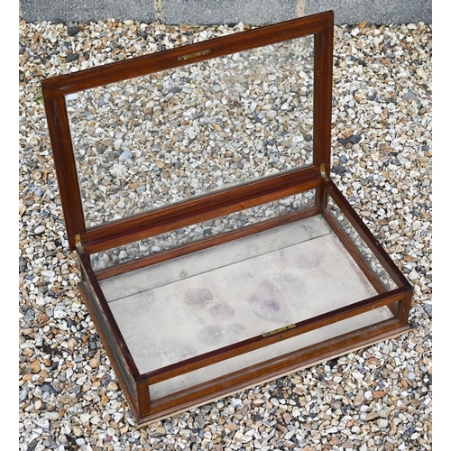 574 - An artist's/photographer's light-box, to/w two antiques-fair table-top display cases (3)