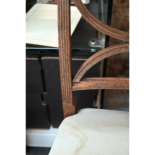 628 - #A set of four 'X' Regency mahogany dining side chairs, with overstuffed seats raised on turned fron... 