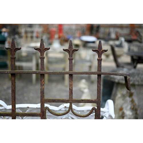 9 - A pair of ornate antique cast iron railing panels, each 86 cm w x 111 cm h (2)