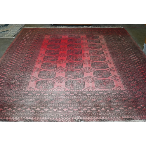 191 - An Afghan red ground carpet, repeating gul design and repeating borders