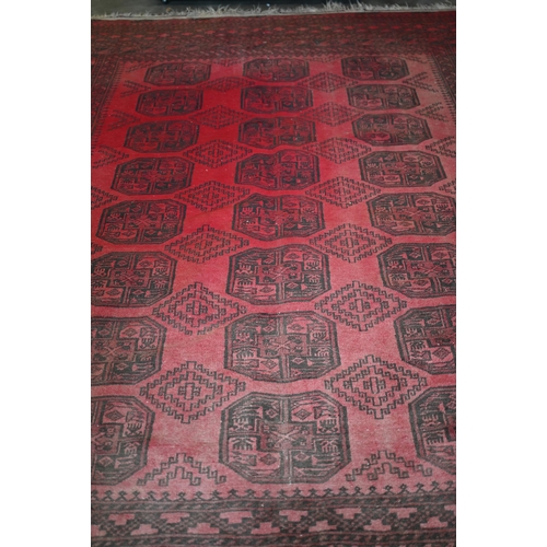 191 - An Afghan red ground carpet, repeating gul design and repeating borders