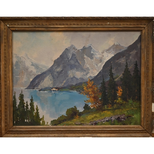 353 - Weinrich - Alpine view, oil on canvas, signed, 36 x 49 cm