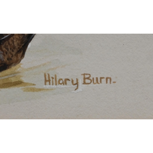 356 - # Hilary Burn - Study of water fowl, gouache, signed, 29 x 21 cm