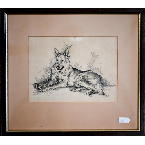 358 - Frances Harder - Pen and ink study of a German Shepherd dog, signed and dated 22/8/81, 14 x 19 cm