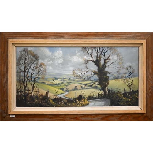 364 - Mark W Pike - Valley view, no 2452, oil on canvas, signed, 29.5 x 60 cm; and unsigned oil on canvas ... 