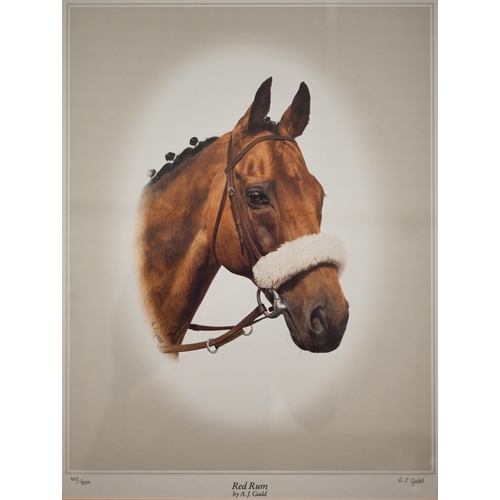 366 - Two limited edition prints - Red Rum by A J Gadd, pencil signed, 51 x 39 cm and Desert Orchid The Wi... 