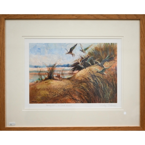 383 - # After Wendy Jelbert - two prints - Seagulls and Seaspray and Seagulls and Sand dunes, 25 x 35 cm (... 