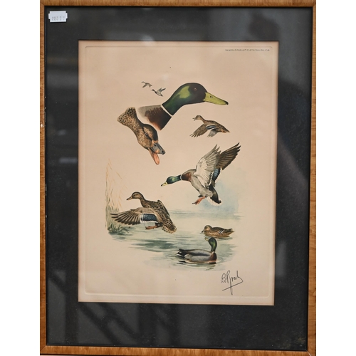 375 - # Two framed sets of prints - water fowl and Liberty, the art of the idiosyncratic (box)