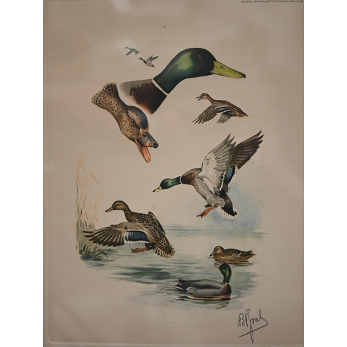 375 - # Two framed sets of prints - water fowl and Liberty, the art of the idiosyncratic (box)