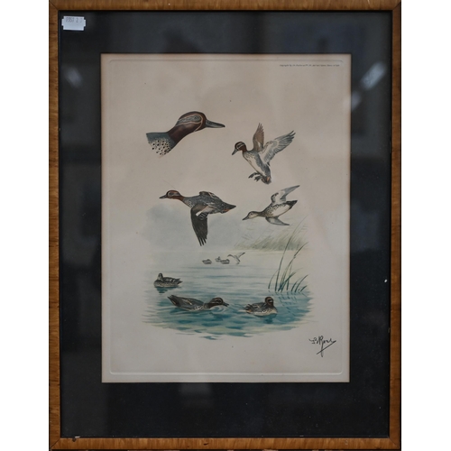 375 - # Two framed sets of prints - water fowl and Liberty, the art of the idiosyncratic (box)