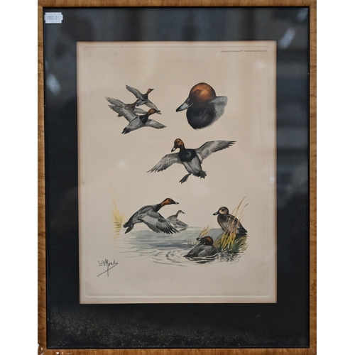 375 - # Two framed sets of prints - water fowl and Liberty, the art of the idiosyncratic (box)