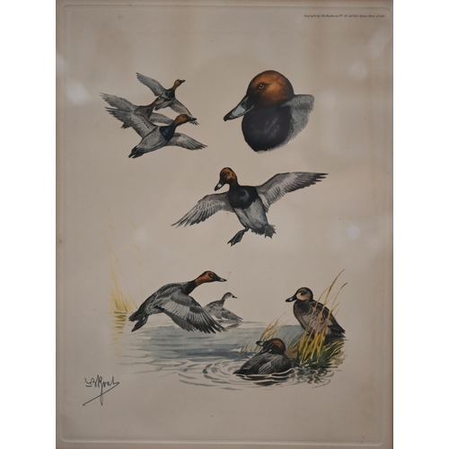 375 - # Two framed sets of prints - water fowl and Liberty, the art of the idiosyncratic (box)