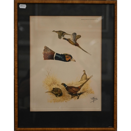 375 - # Two framed sets of prints - water fowl and Liberty, the art of the idiosyncratic (box)