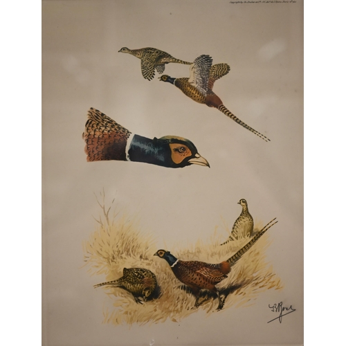 375 - # Two framed sets of prints - water fowl and Liberty, the art of the idiosyncratic (box)