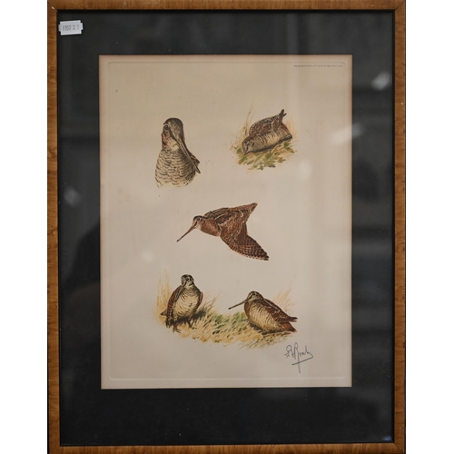 375 - # Two framed sets of prints - water fowl and Liberty, the art of the idiosyncratic (box)