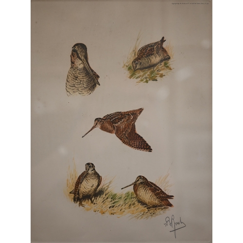 375 - # Two framed sets of prints - water fowl and Liberty, the art of the idiosyncratic (box)