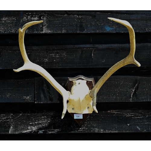 526 - A pair of deer antlers mounted on stained hardwood shield to/w a Laura Ashley 'Constellation' mirror... 