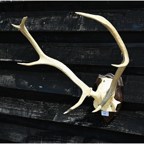 526 - A pair of deer antlers mounted on stained hardwood shield to/w a Laura Ashley 'Constellation' mirror... 