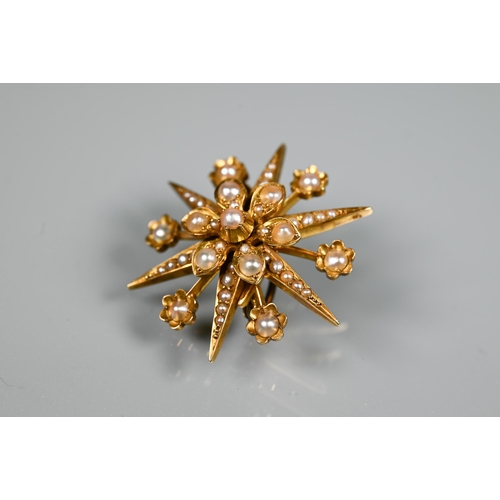 208 - A Victorian 15 ct yellow gold brooch in the form of a star, set overall with seed pearls, 3.5 cm, wi... 