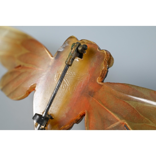 346 - A French Art Nouveau horn winged insect/cicada brooch with outstretched wings, naturalistically carv... 