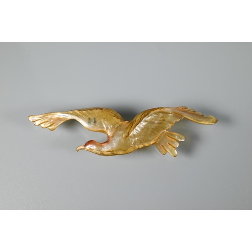 351 - A French Art Nouveau horn brooch of a gull in flight, naturalistically carved with iridescence, 10.5... 