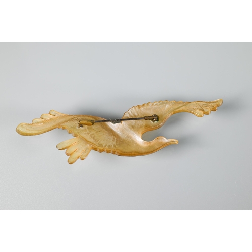 351 - A French Art Nouveau horn brooch of a gull in flight, naturalistically carved with iridescence, 10.5... 