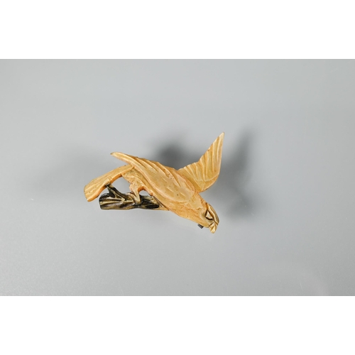 351 - A French Art Nouveau horn brooch of a gull in flight, naturalistically carved with iridescence, 10.5... 