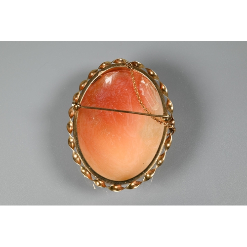 370 - An oval shell cameo of Aphrodite with her dove, in 9ct yellow gold rope mount, 5.5 x 4.5 cm to/w a s... 