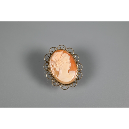 219 - An oval shell cameo of a female profile in 9ct yellow gold scroll mount, a yellow metal chain stampe... 