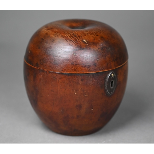 1010 - A Georgian turned wood tea caddy, modelled as an apple, 11 cm high, to/w a turned fruitwood jar and ... 