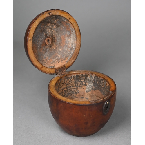 1010 - A Georgian turned wood tea caddy, modelled as an apple, 11 cm high, to/w a turned fruitwood jar and ... 