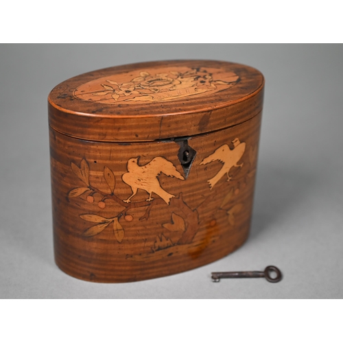 1013 - A Sheraton period satinwood oval tea caddy inlaid with marquetry basket of flowers to the top and do... 