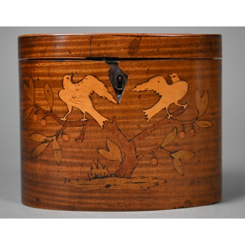 1013 - A Sheraton period satinwood oval tea caddy inlaid with marquetry basket of flowers to the top and do... 