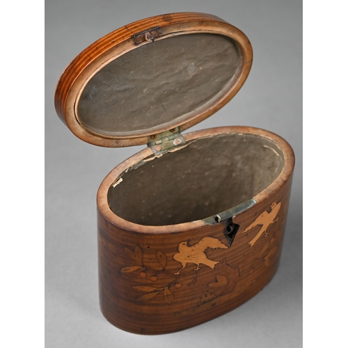 1013 - A Sheraton period satinwood oval tea caddy inlaid with marquetry basket of flowers to the top and do... 