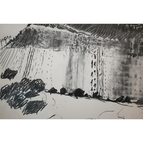 618 - Nancy Baldwin (1934-2021) - Hillside landscape, charcoal on paper, signed lower right and dated '67,... 