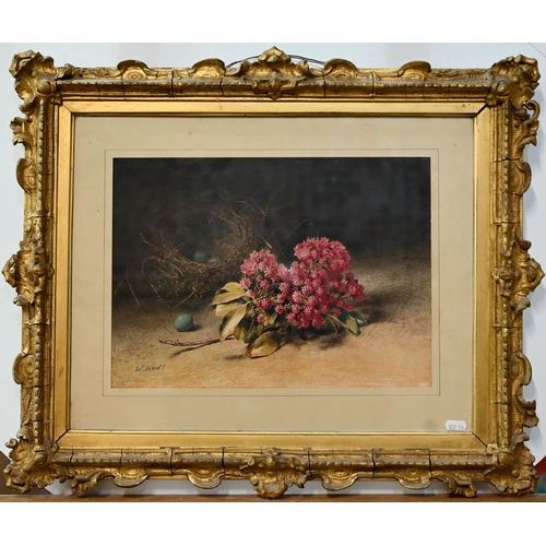 630 - W Hunt - Study of a bird's nest and pink flowers, watercolour, signed, 26.5 x 37 cm