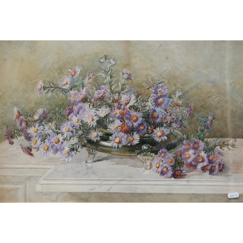 631 - FC - Still life study of asters, watercolour, signed with initials lower right, 35 x 53 cm
