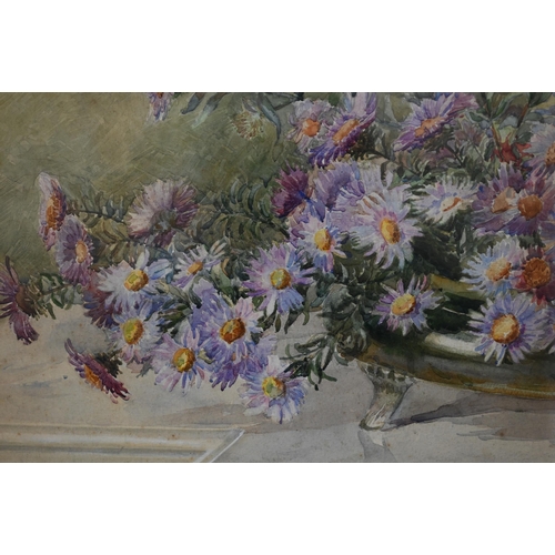 631 - FC - Still life study of asters, watercolour, signed with initials lower right, 35 x 53 cm