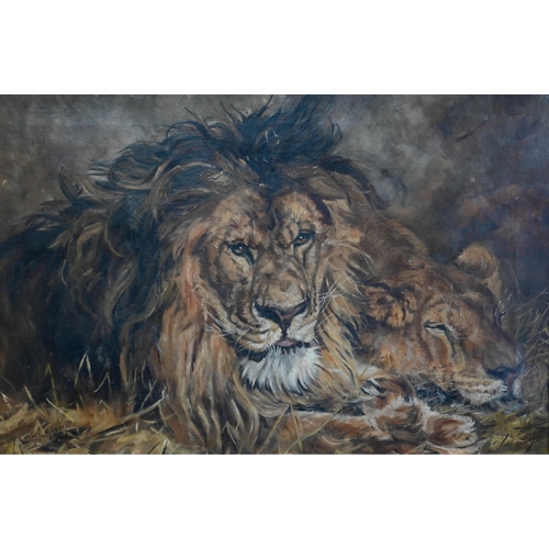 643 - Ethel Nicholas after Landseer - A lion and lioness, oil on canvas, signed lower left and dated 1908?... 
